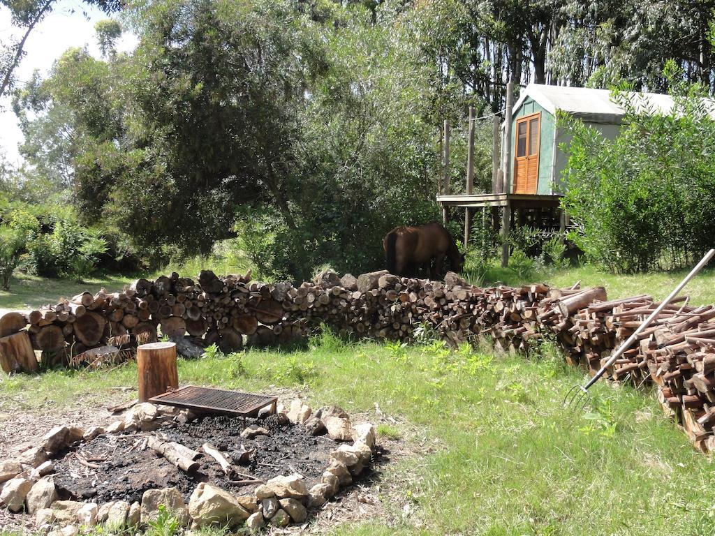 فندق لا بيدريرافي  Pueblo Barrancas المظهر الخارجي الصورة
